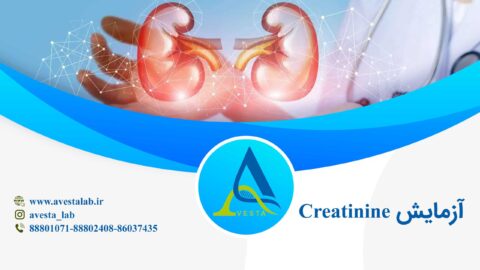 آزمایش کراتینین Creatinine