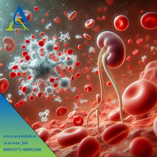 آزمایش کراتینین Creatinine