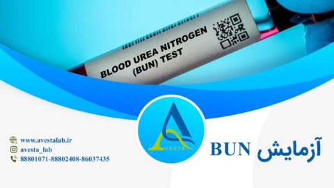 آزمایش BUN