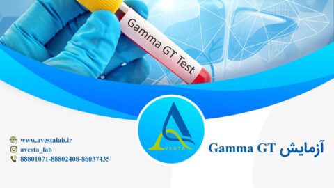 آزمایش گاما گلوتامیل ترانسفراز (GGT)