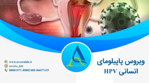 ویروس پاپیلومای انسانی HPV
