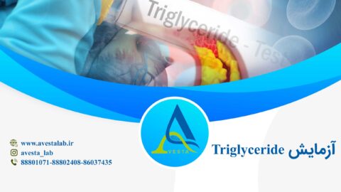 آزمایش تری گلیسیرید Triglycerides