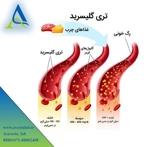 آزمایش تری گلیسیرید Triglycerides