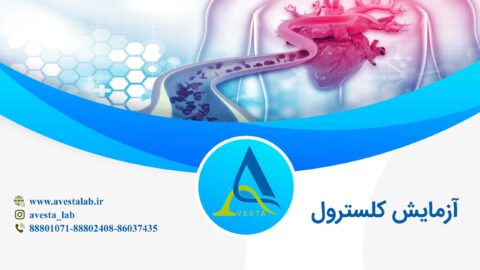 آزمایش کلسترول