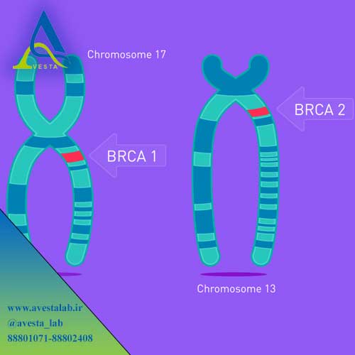 آزمایش BRCA