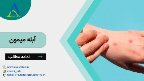آبله میمون