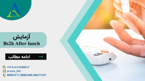 آزمایش Bs2h After lunch