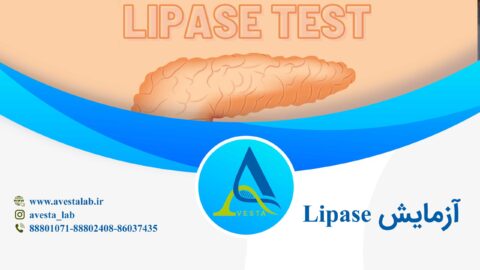آزمایش لیپاز Lipase