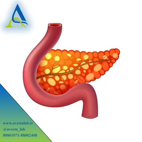 آزمایش لیپاز Lipase