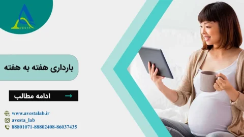 بارداری هفته به هفته