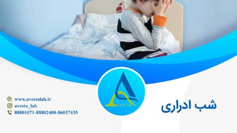 شب ادراری
