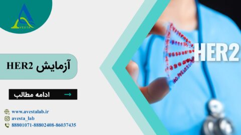 آزمایش HER2