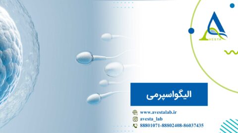 الیگواسپرمی (تعداد کم اسپرم)