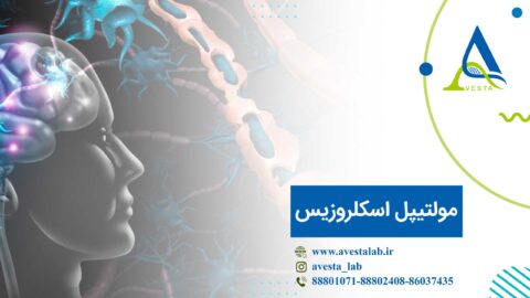 مولتیپل اسکلروزیس چیست؟