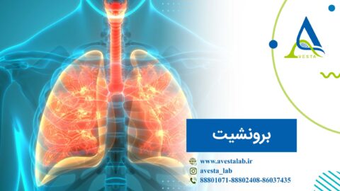 برونشیت چیست؟
