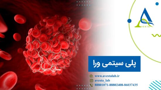 پلی سیتمی ورا