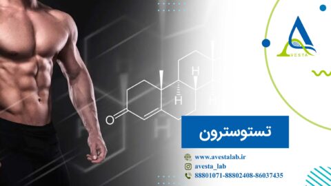 تستوسترون