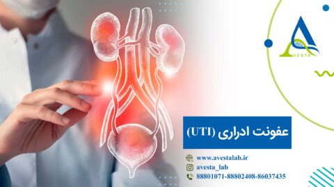 عفونت ادراری (UTI)
