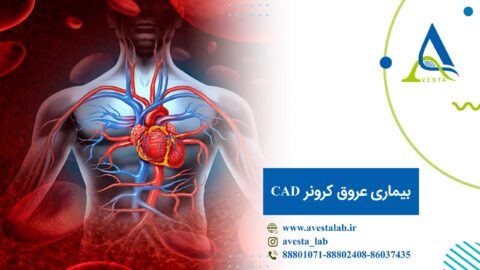 بیماری عروق کرونر CAD