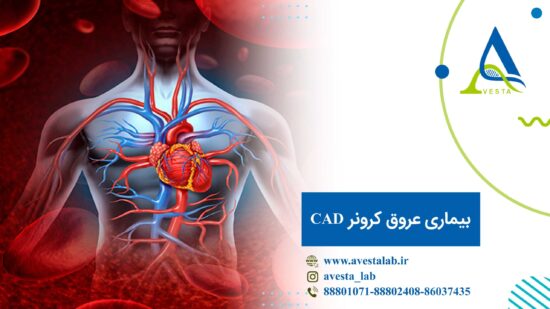 بیماری عروق کرونر CAD