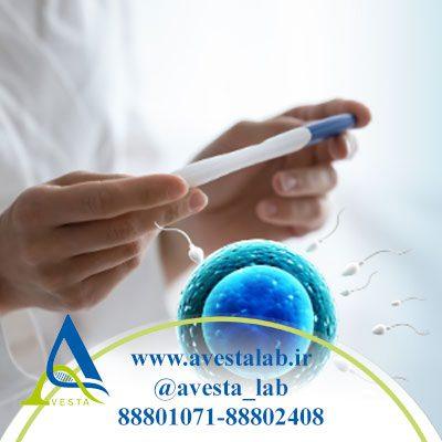 اختلالات تخمک گذاری چیست؟