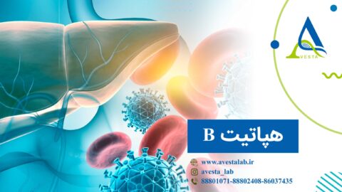 هپاتیت B