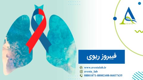 فیبروز ریوی