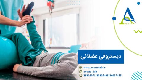 دیستروفی عضلانی