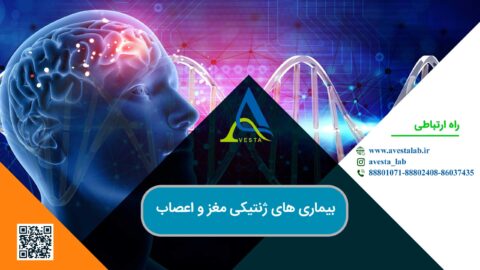 بیماری های ژنتیکی مغز و اعصاب