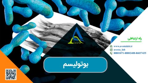 بوتولیسم