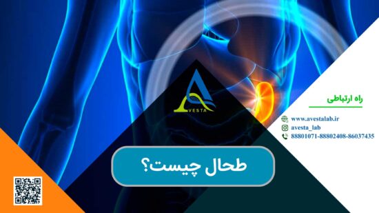 طحال چیست؟