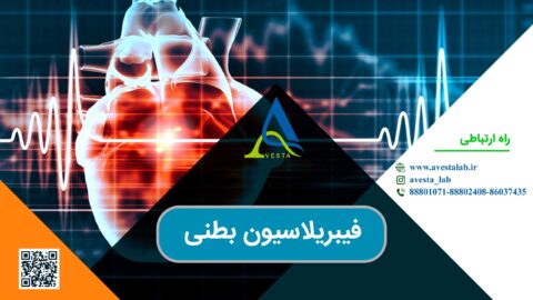 فیبریلاسیون بطنی