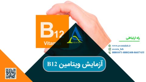 آزمایش ویتامین B12