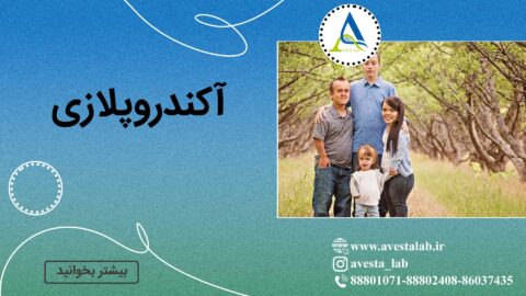 آکندروپلازی