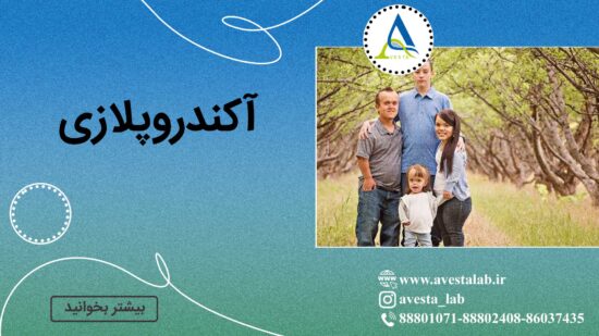 آکندروپلازی