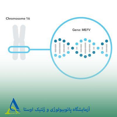 تب مدیترانه ‌ای خانوادگی (FMF)