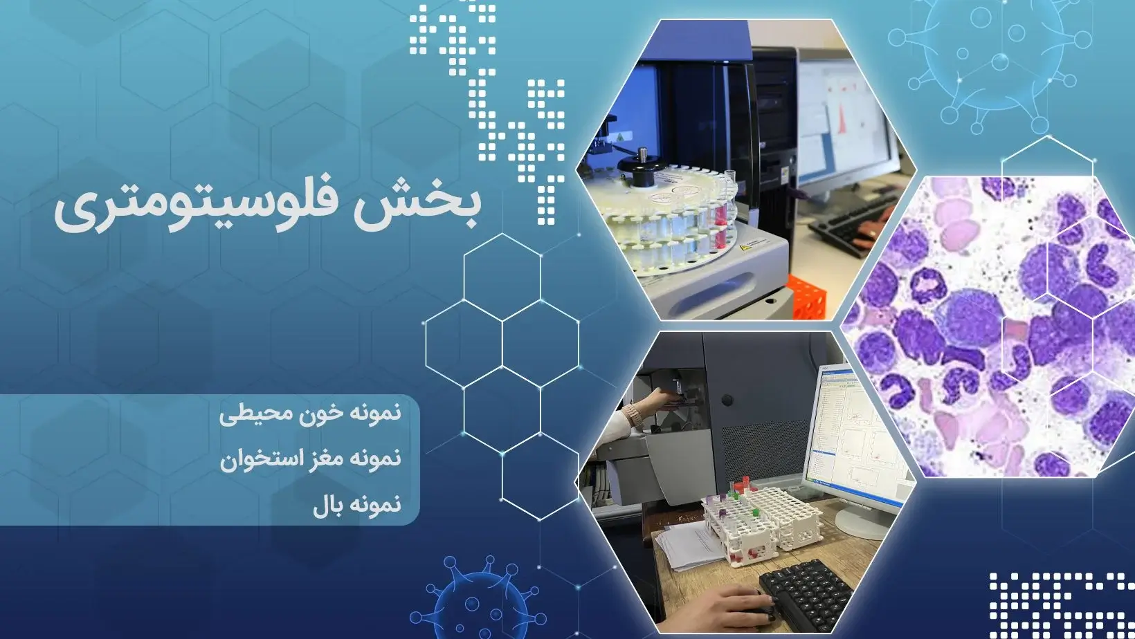 فلوسیتومتری | آزمایشگاه پاتوبیولوژی اوستا