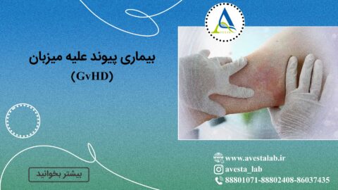 بیماری پیوند علیه میزبان (GvHD)