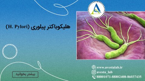 هلیکوباکتر پیلوری (H. Pylori)