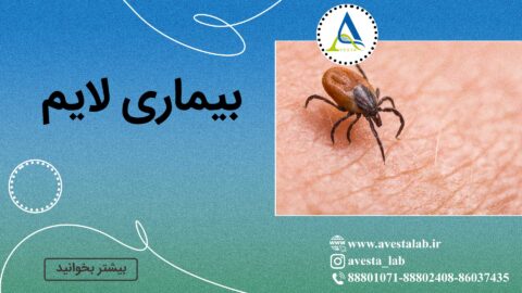 بیماری لایم