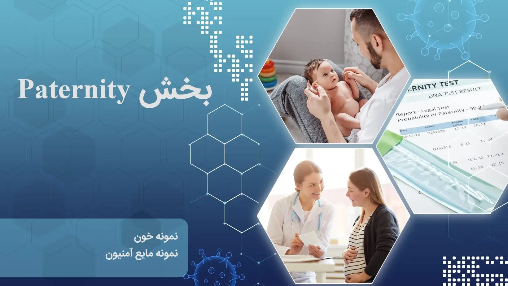 آزمایش تعیین هویت (Paternity)