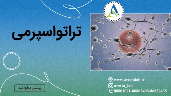 تراتواسپرمی