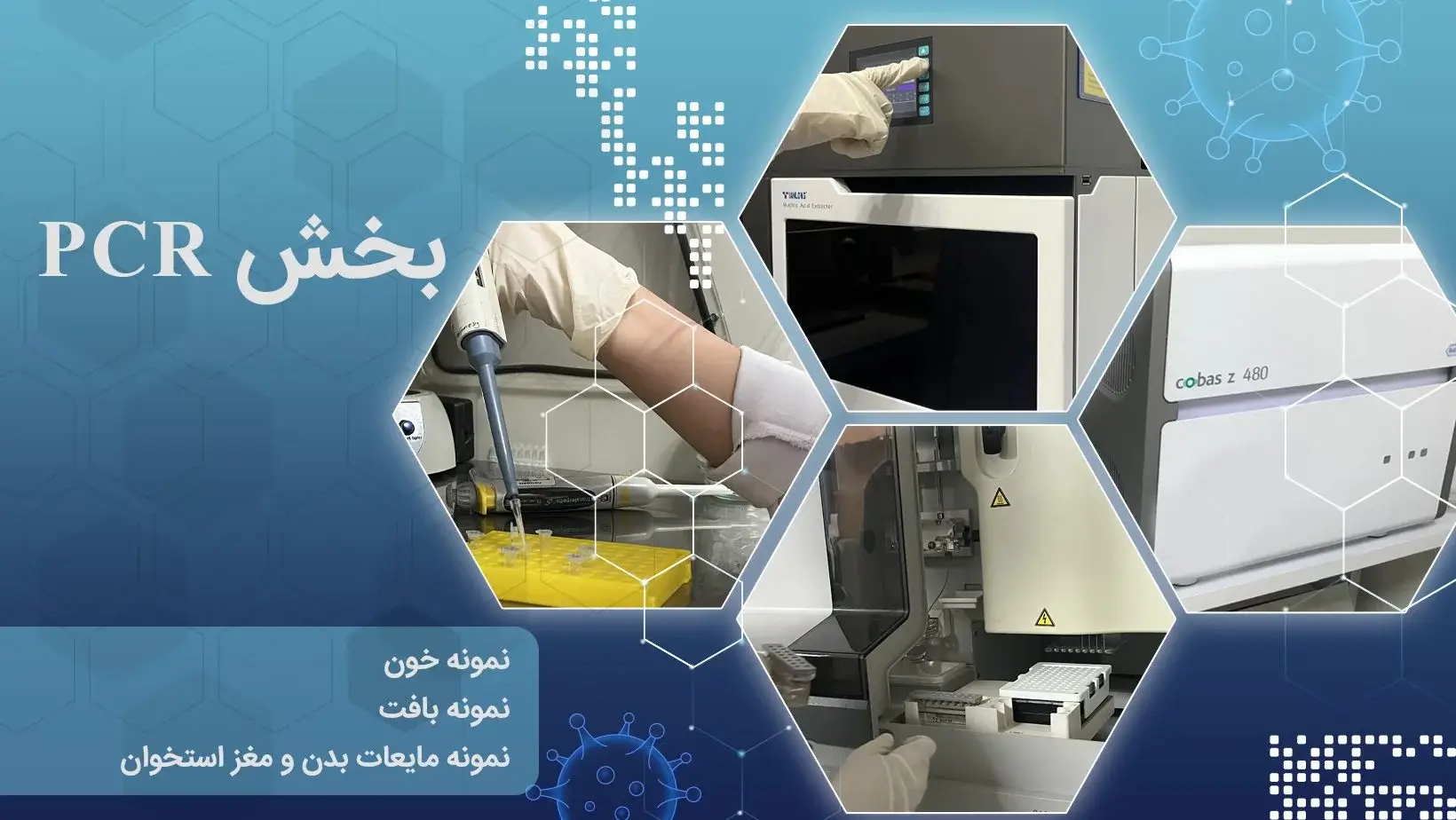 PCR