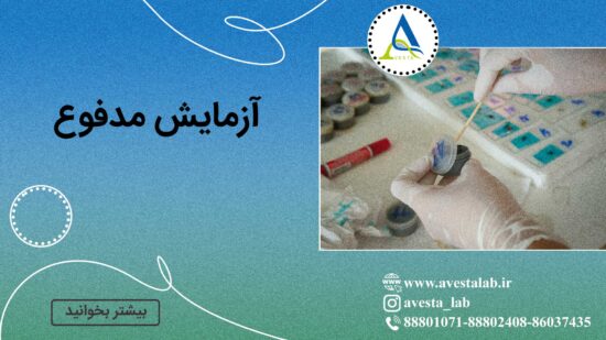 آزمایش مدفوع