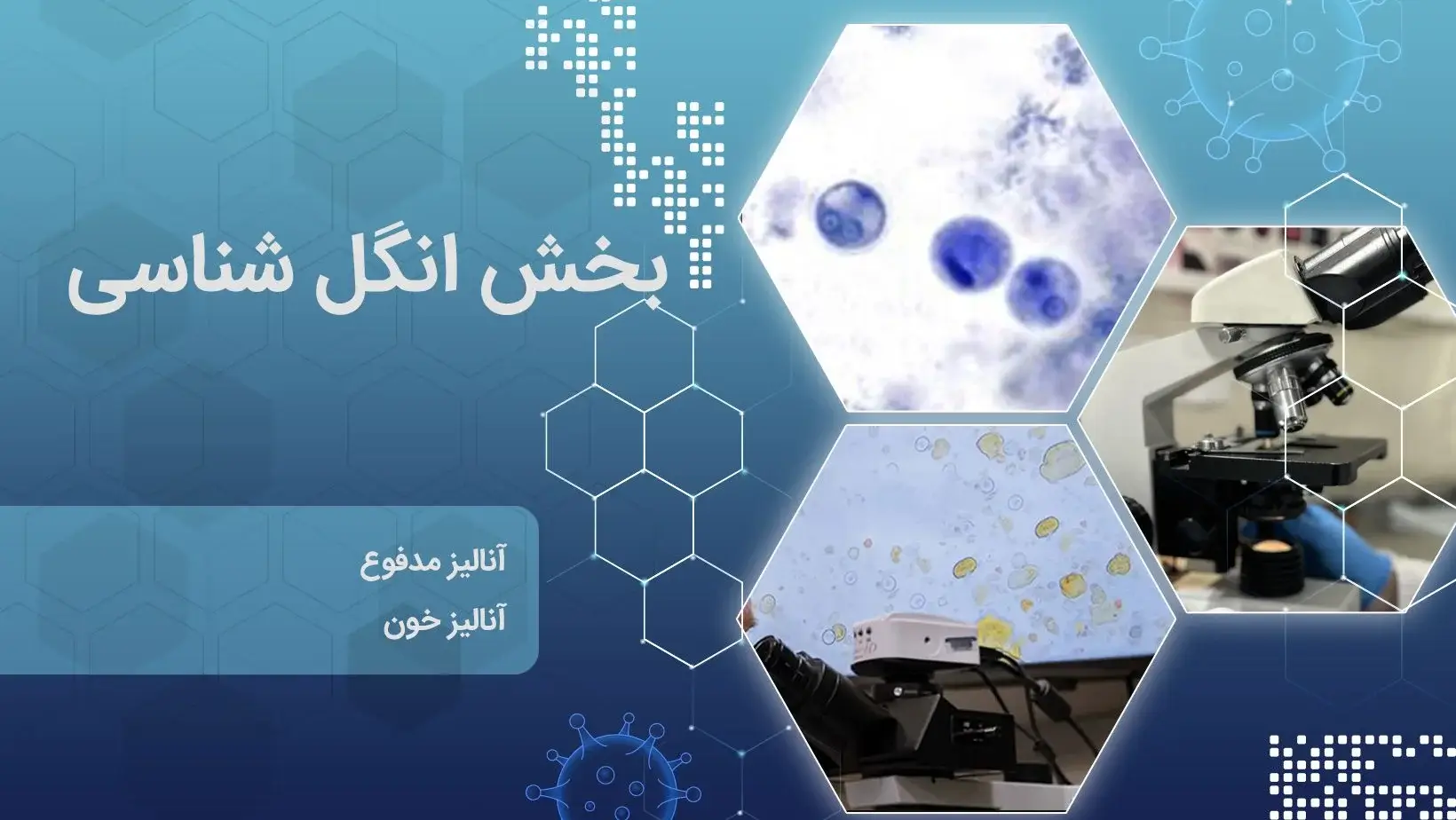 انگل شناسی