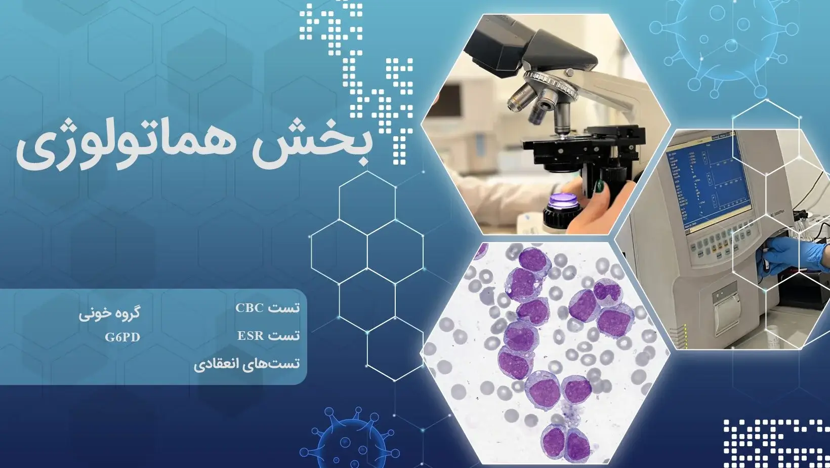 هماتولوژی
