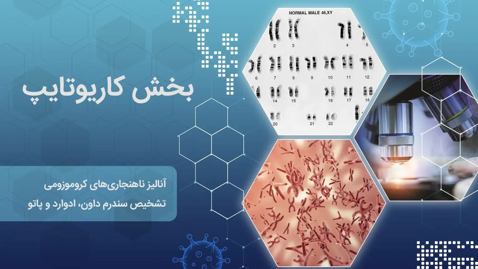 کاریوتایپ