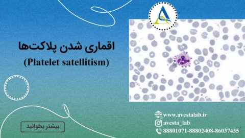 Platelet satellitism