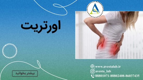 اورتریت