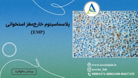 پلاسماسیتوم خارج‌مغز استخوانی (EMP)